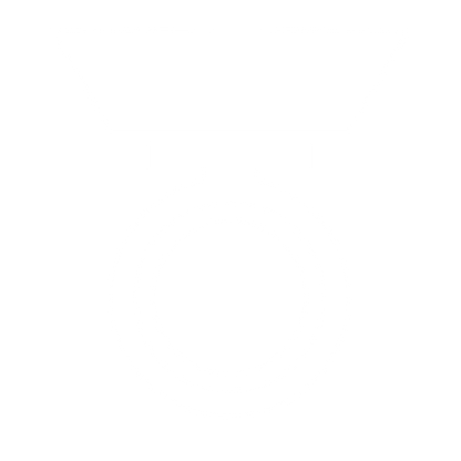 Military Medal Logo #ffffff