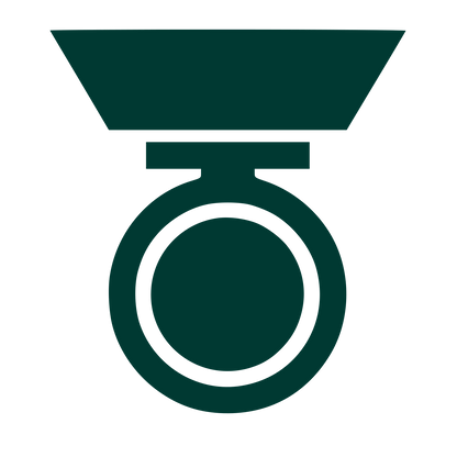 Military Medal Logo #003932