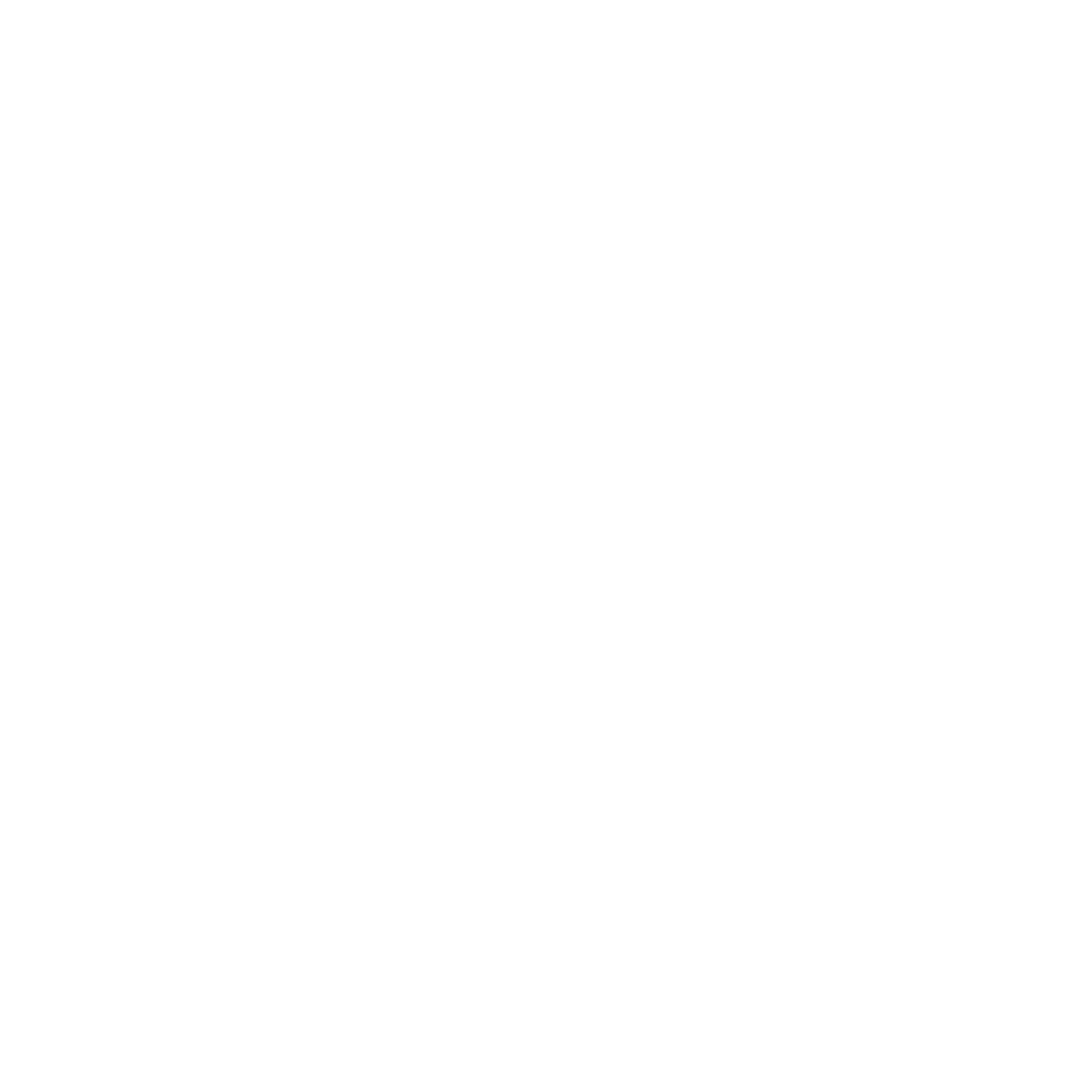 Monoline Oval Track Logo #ffffff