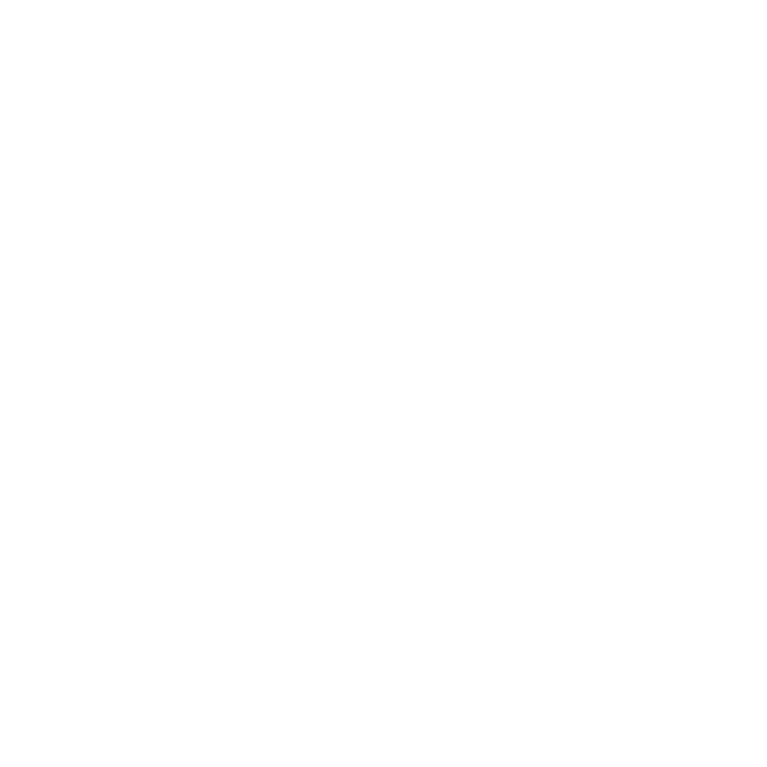 Toolbox Carrying Case Logo #ffffff