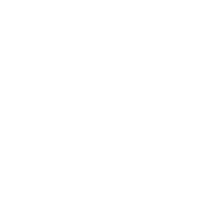 Zipper Star Tattoo Logo #ffffff