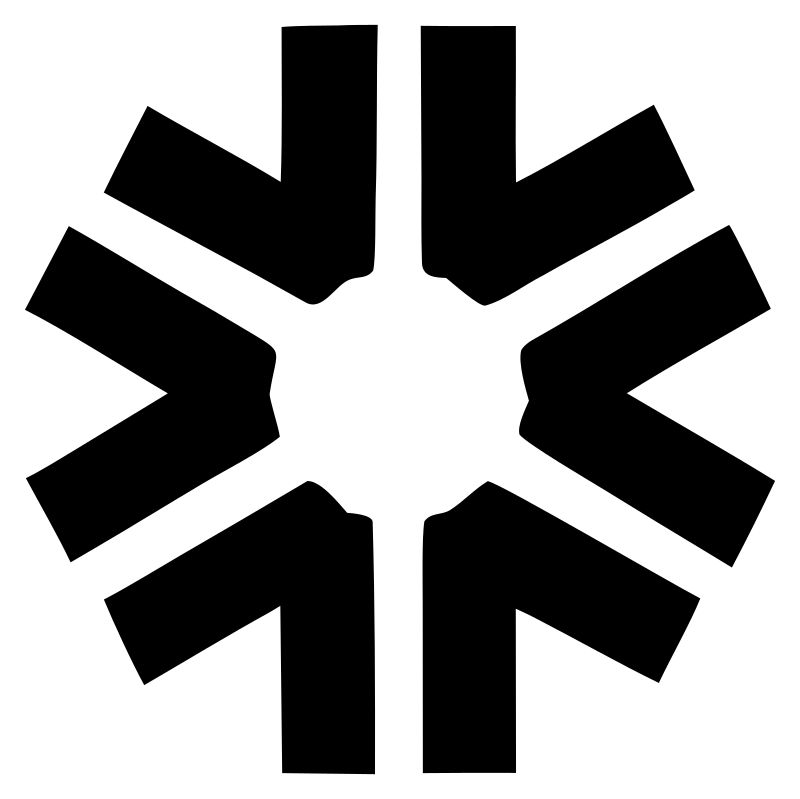 Bold Arrow Snowflake Mark