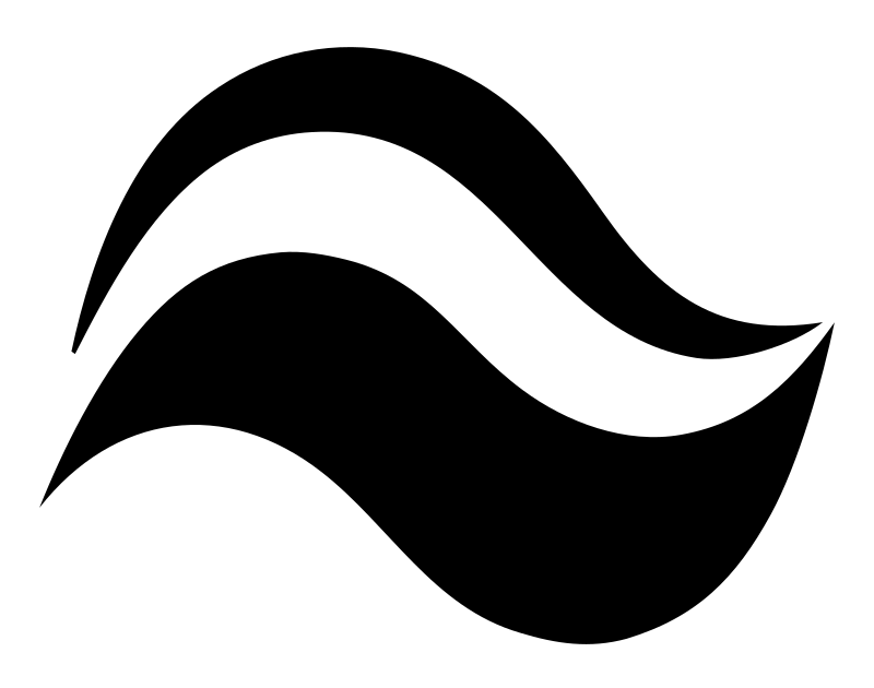 Bold Dual Wave Logo