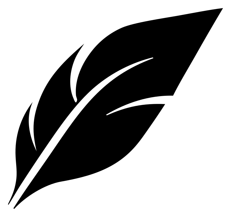 Bold Feather Wing Icon