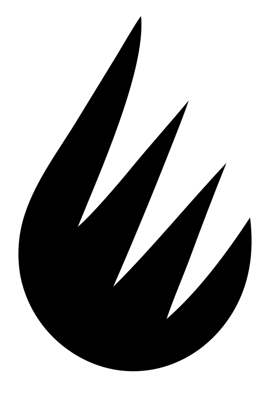 Bold Fire Flame Icon