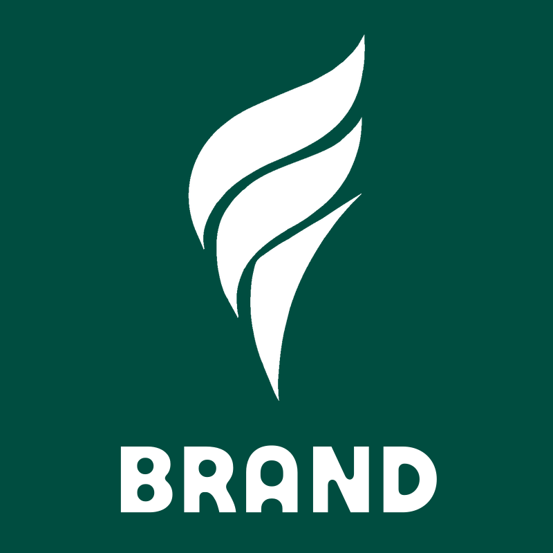 Bold Flame Volleyball Logo preview