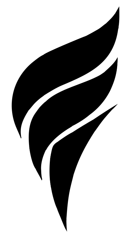 Bold Flame Volleyball Logo