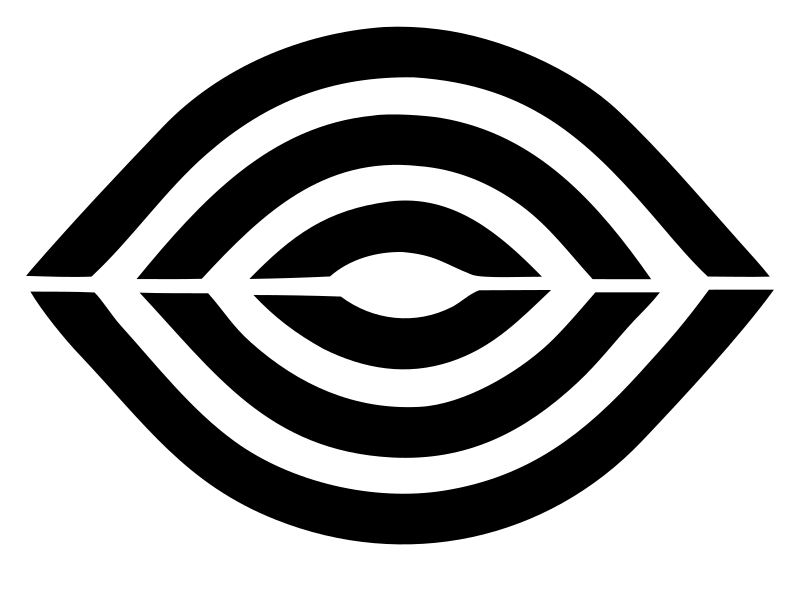 Bold Geometric Eye Logo