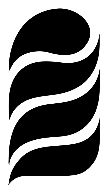 Bold Wave Curl Logo