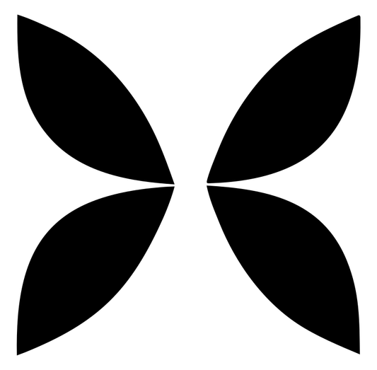Four Petal Flower Icon