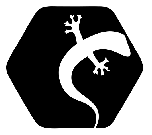 Gecko Hexagon Climbing Mark