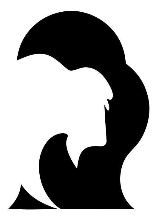 Negative Space Bison Profile Crest