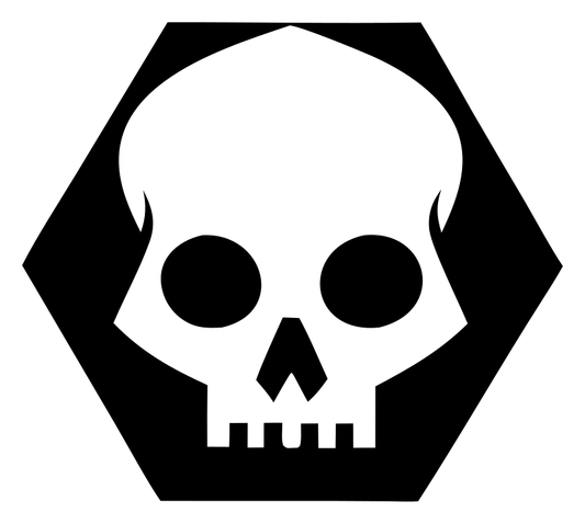Skull Hexagon Badge