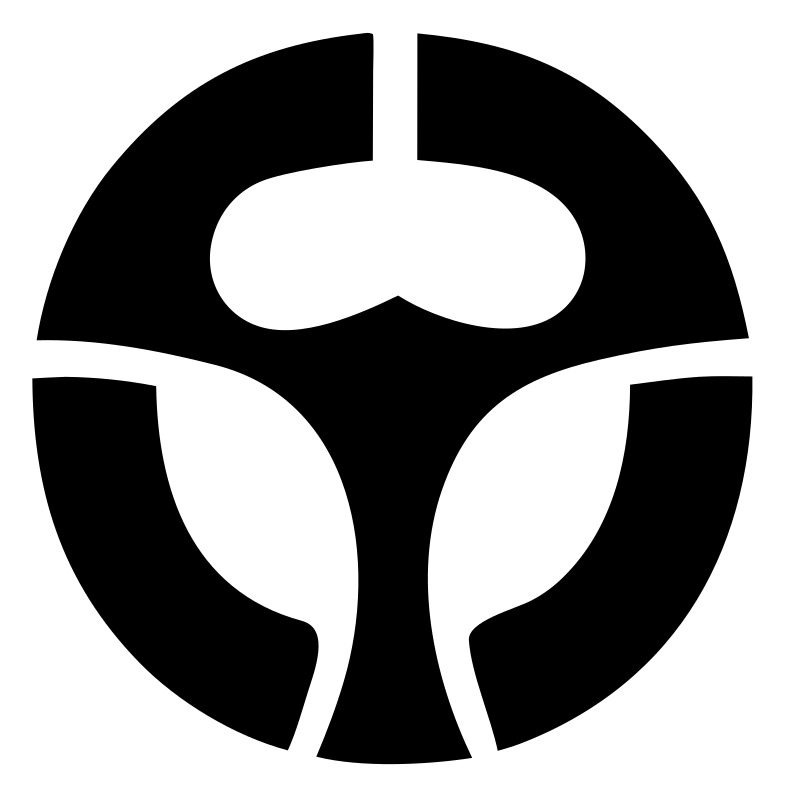 Steering Wheel Drone Mark